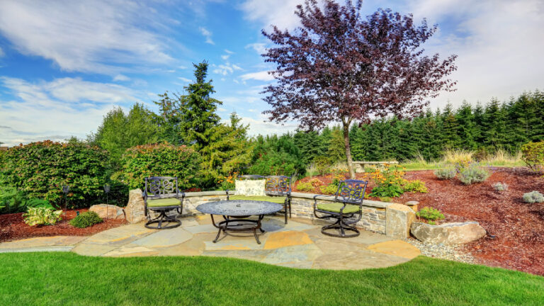 Creative Landscaping Ideas to Transform Your Yard